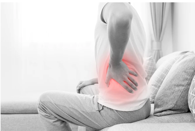 info-668-449
