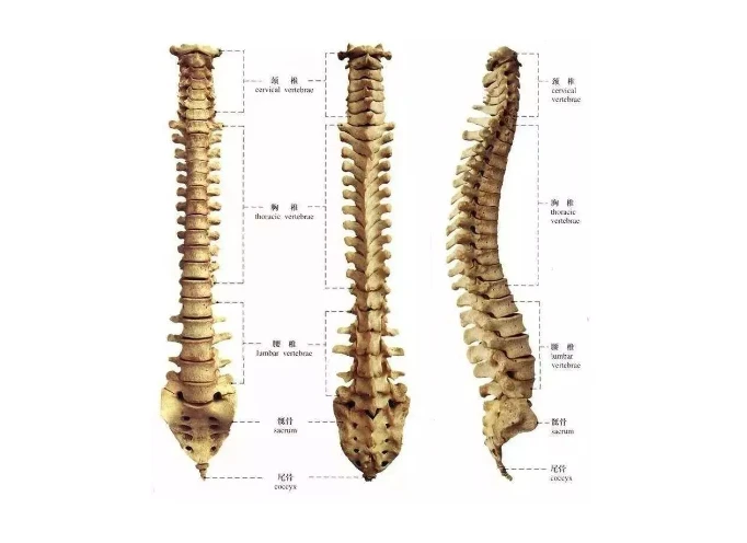 info-682-496 info-682-496
